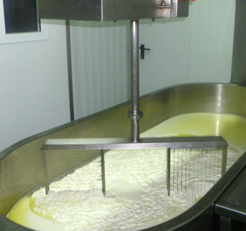 Elaboración de queso artesanal con leche cruda de oveja