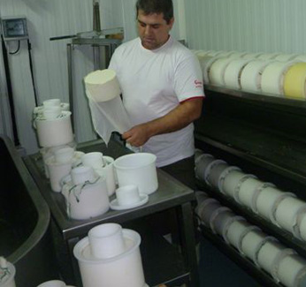 Elaboración de queso artesanal con leche cruda de oveja